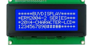 Display Modules