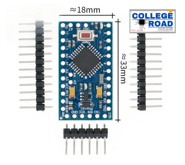 PRO MINI